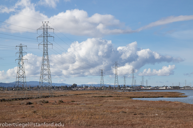 palo alto baylands 2021